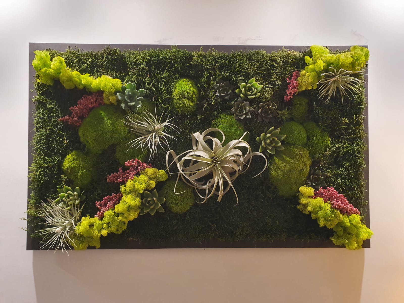 Wall Moss Frame Flo Design