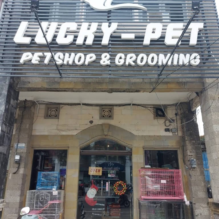 10 Pet Grooming in Bali For Your Lovely Pet Flokq Blog