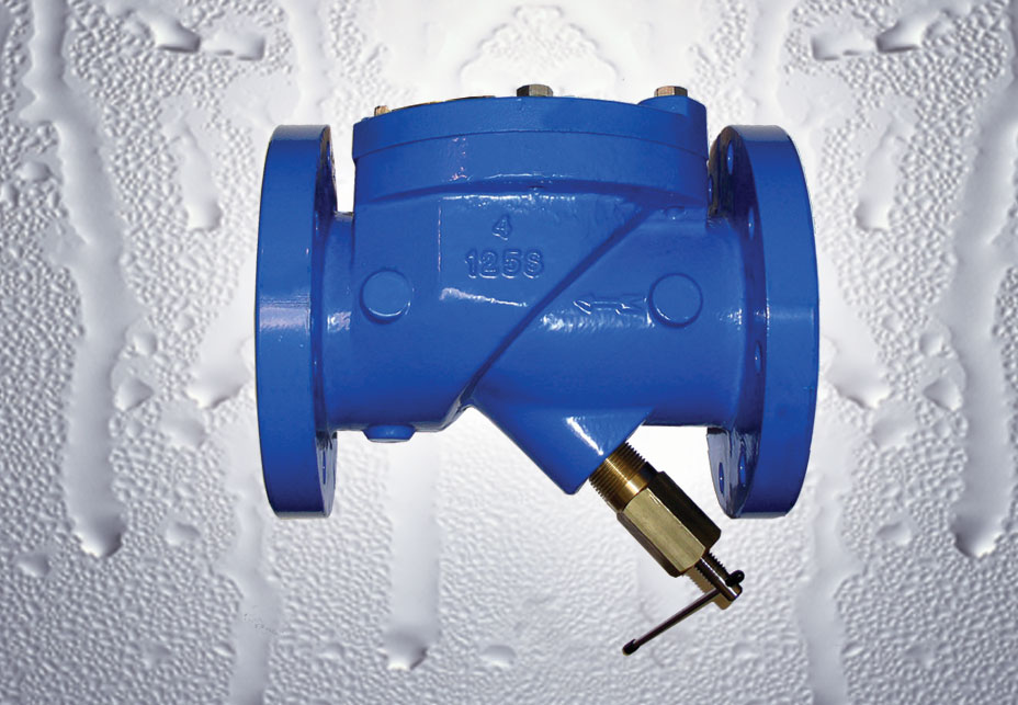Model 745BF Swing Check Valve Flomatic Valves