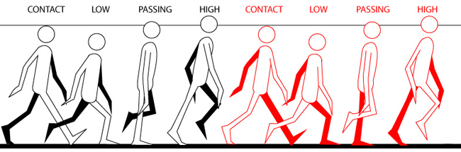 Flash Animation Online Course