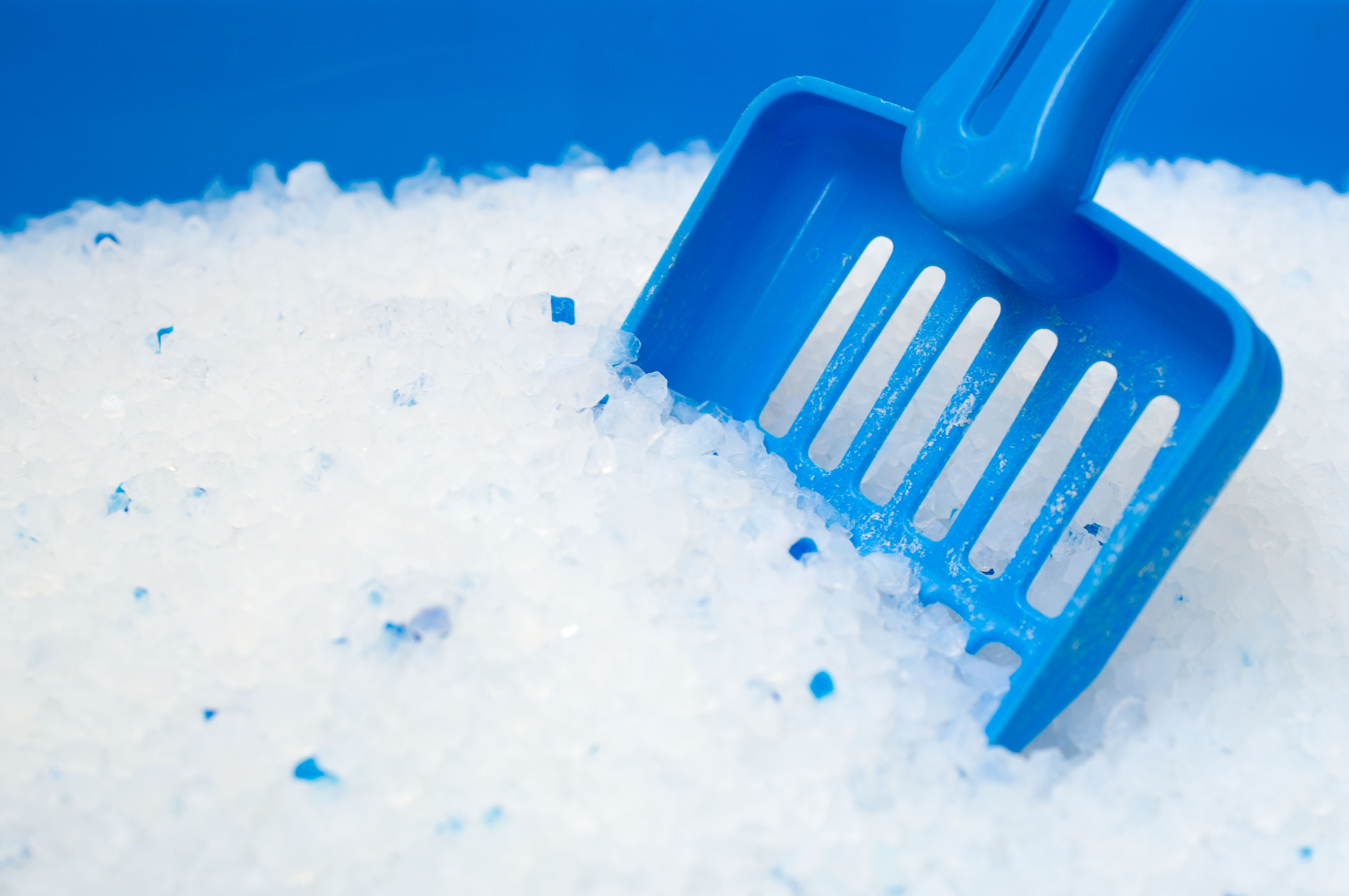 Silica gel filler in a blue cat tray with a scoop Floofins & Co.