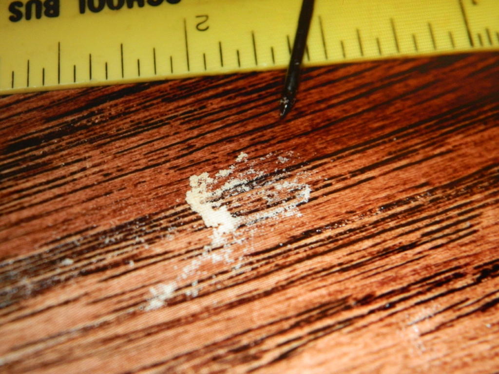 Wood Flooring Defect and Solutions for Powder Post Beetles