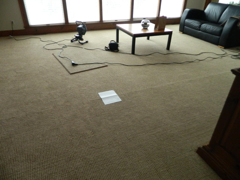 Floor Detective explains the many types and causes of carpet shading
