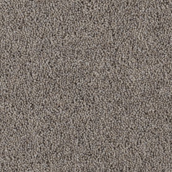 Cavalier Carpets from Floorlines Direct