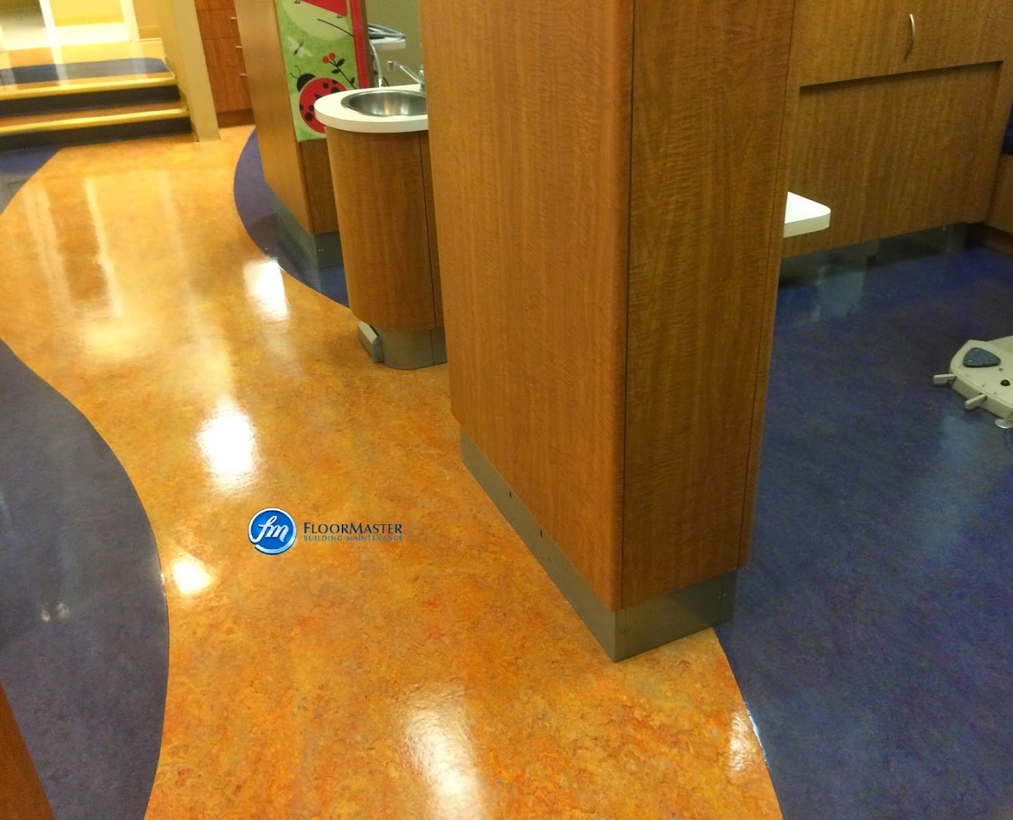 We specialize in Marmoleum Floor Master