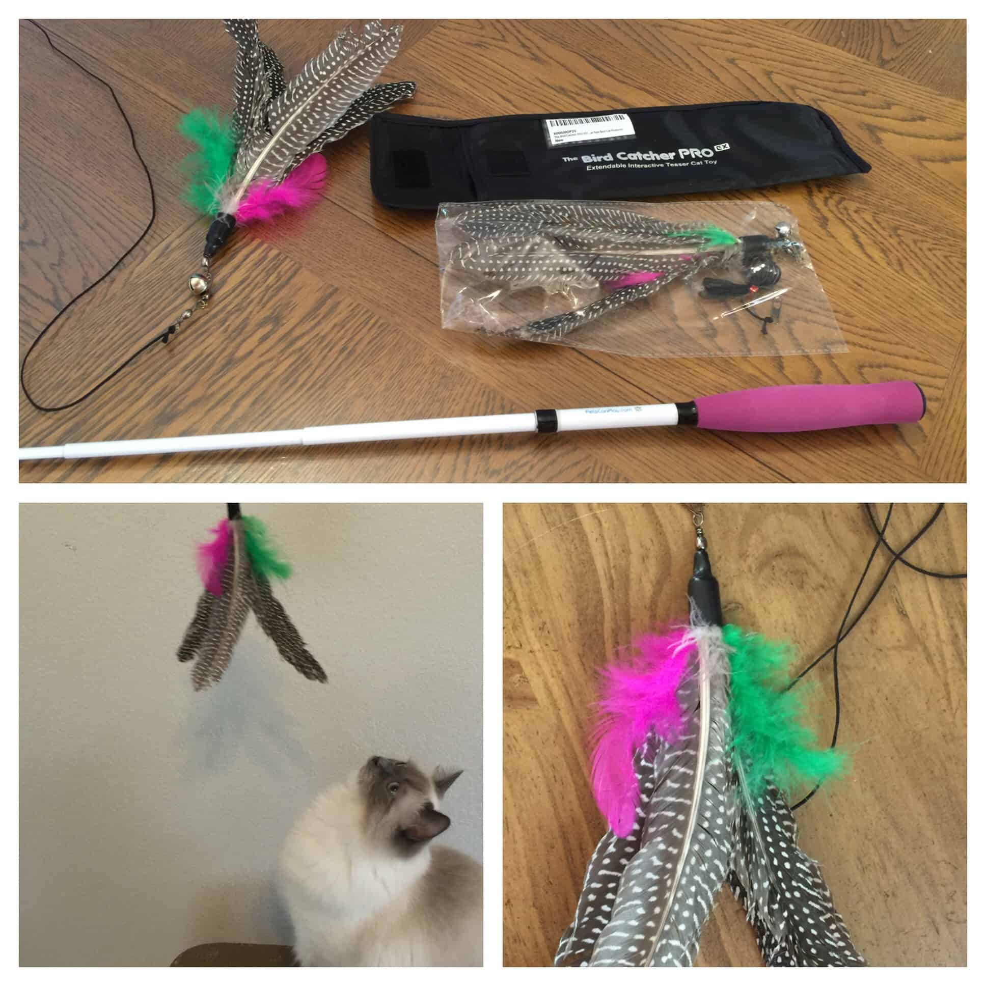 Reader Product Review Bird Catcher Pro Ex