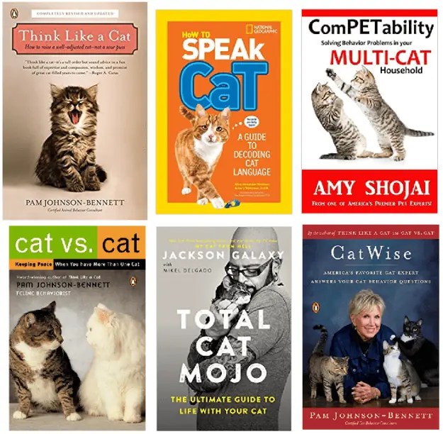 Ragdoll Cat Training Books Understanding Ragdoll Cat Behavior