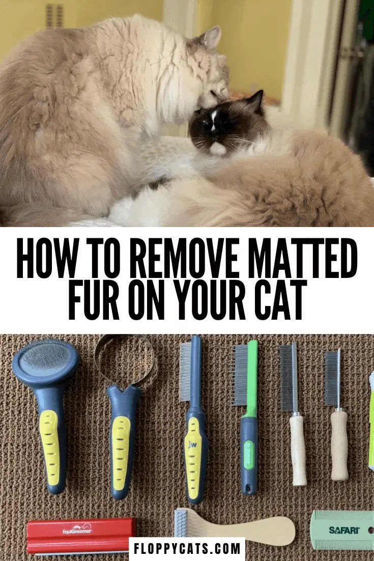 Cat Matted Fur Tips & Tricks Matted Cat Hair Solution