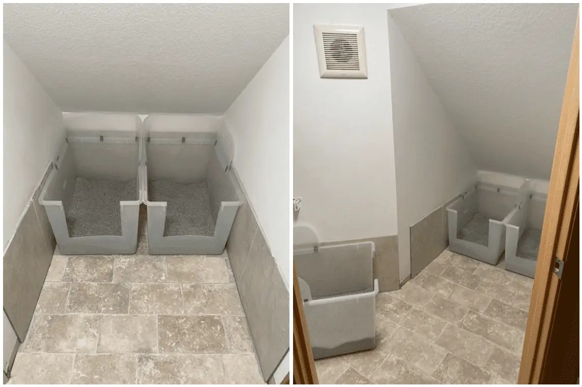 Best Litter Boxes for High Spraying Cats High Side Litter Boxes