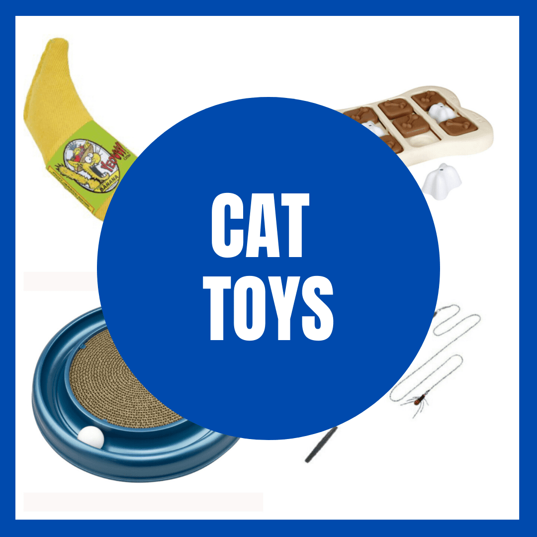 The 5 Best Cat Toys Your Ragdoll Needs Floppycats™