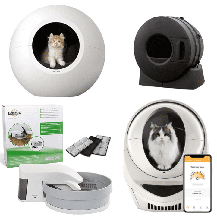 Kat Kave Litter Box {All Your Questions Answered} Floppycats™