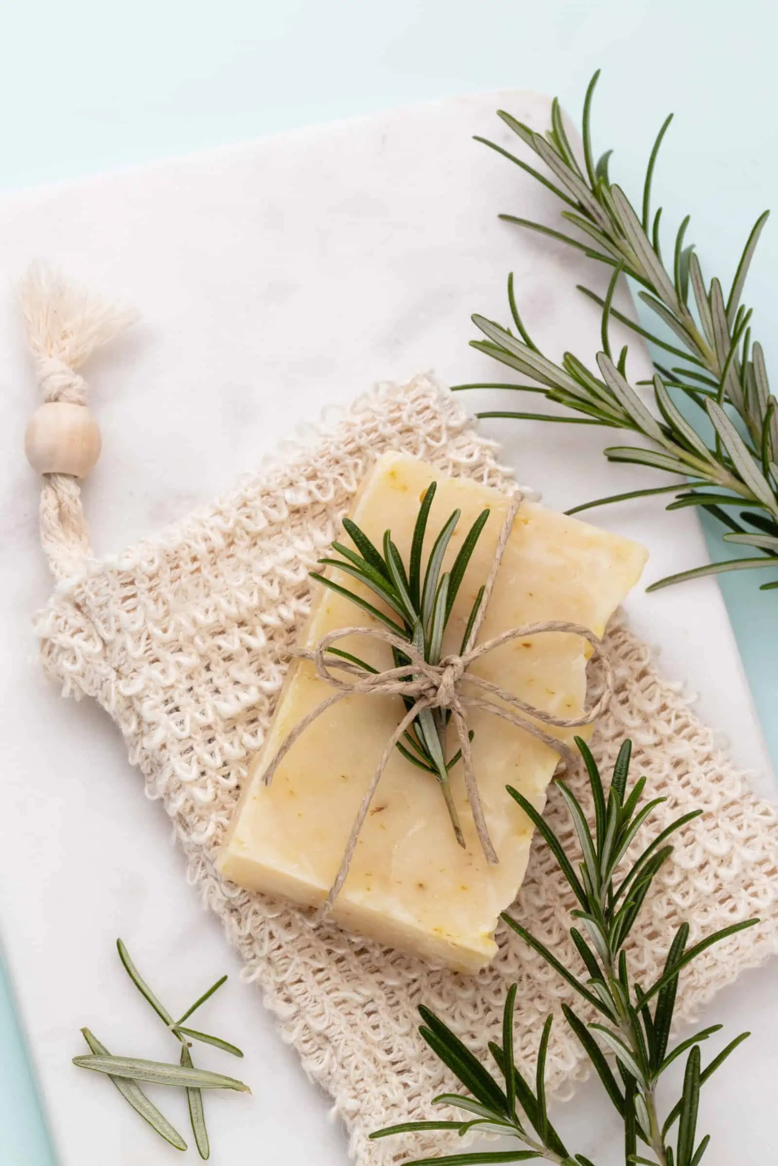 The 10 Most Hated Smells by Cats and Why Floppycats™