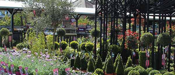 UK Squire’s Garden Centres turnover reaches £57m amid expansion plans