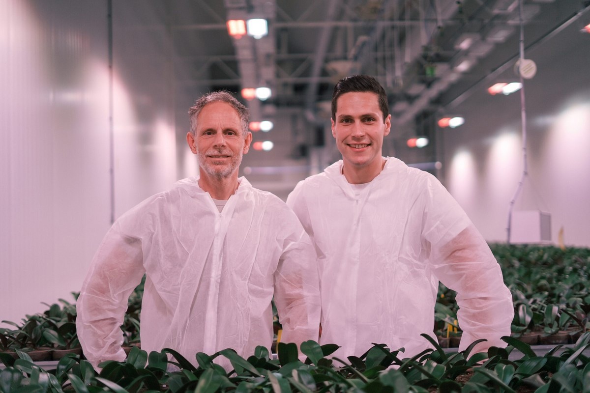 NL: Orchid growers join forces for fossil-free propagation