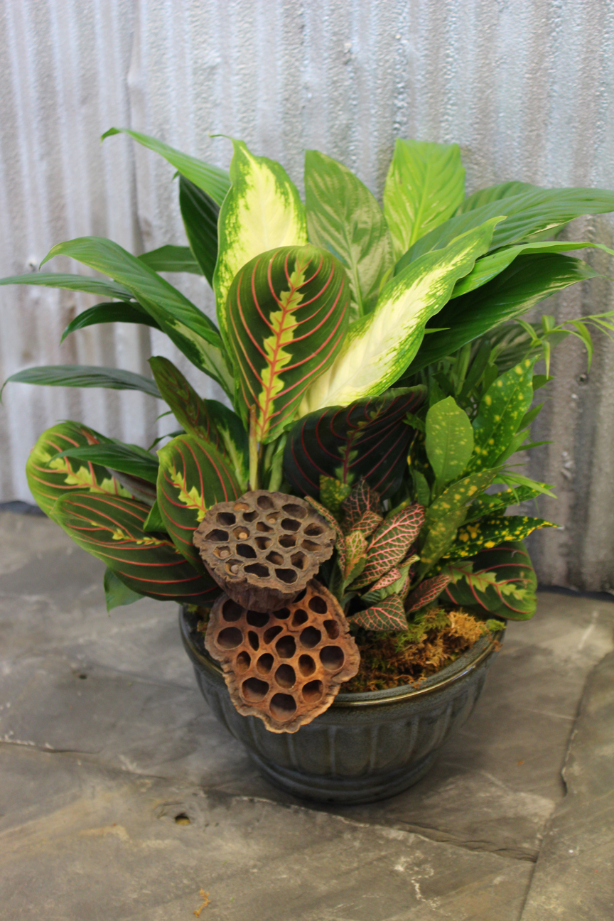 Seasonal Designs Floral Designs of Mount Joy