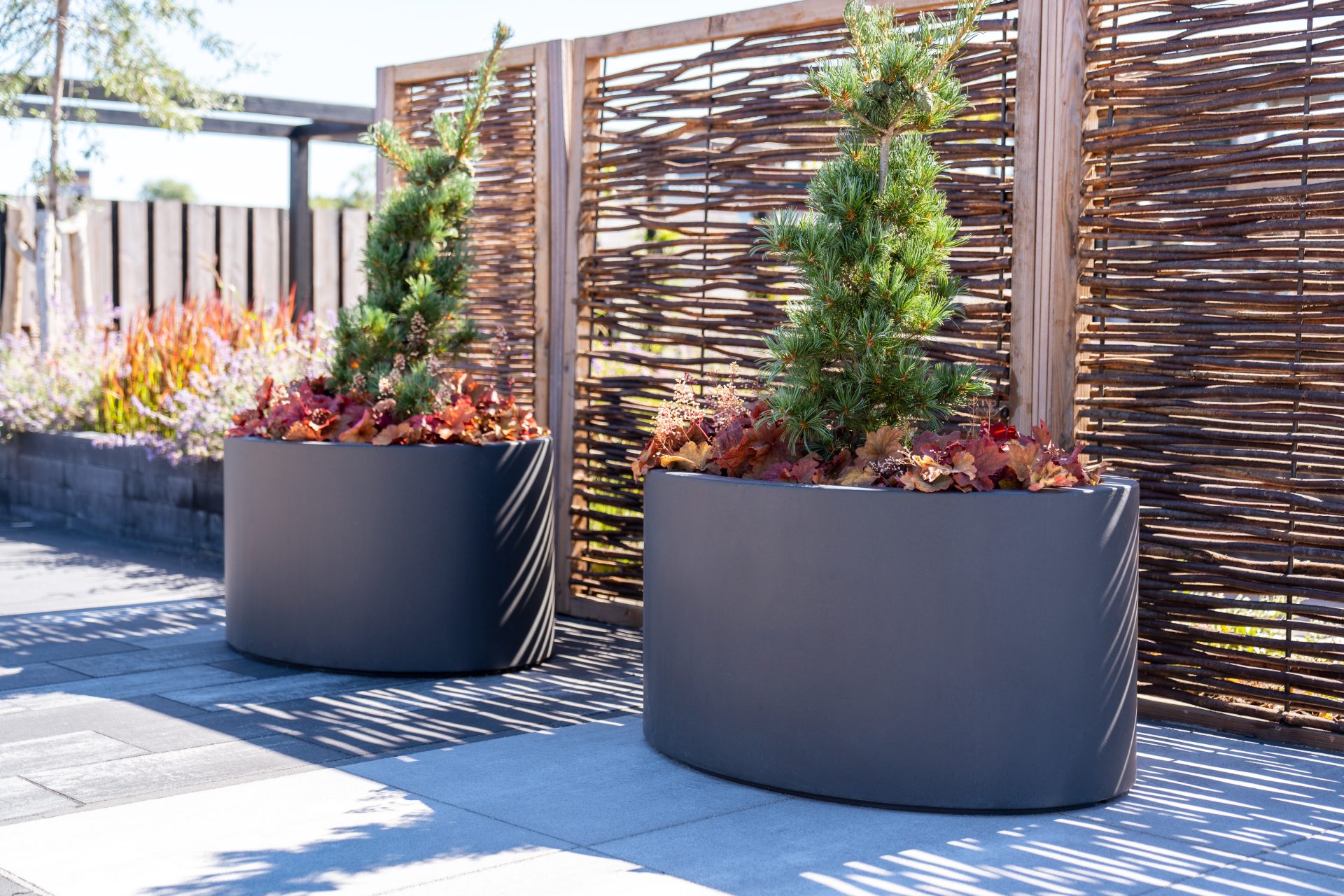 Ellipse Fibreglass Planter by Adezz Flora Select