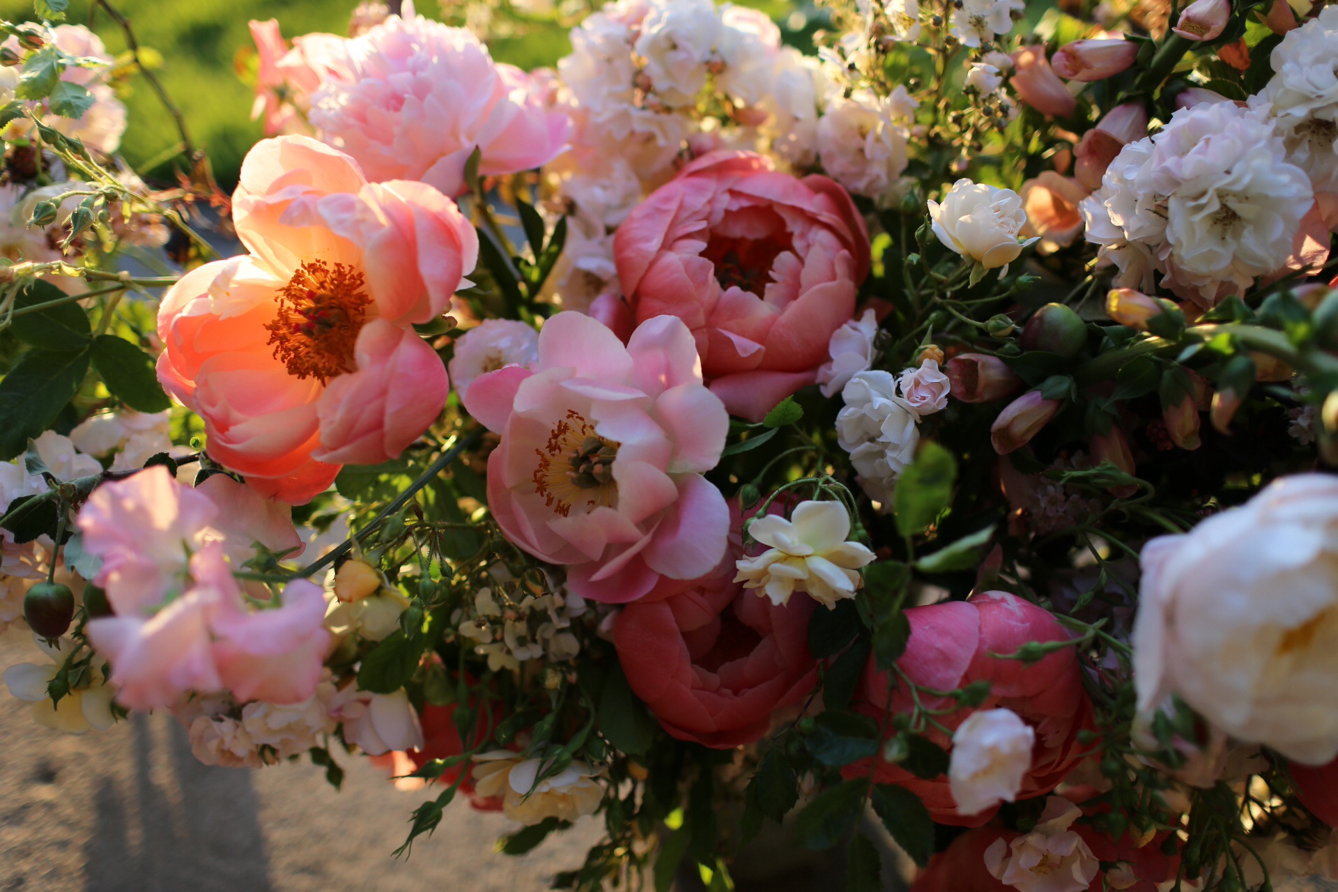 The Seasonal Flower Alliance {June 5} Floret Flowers