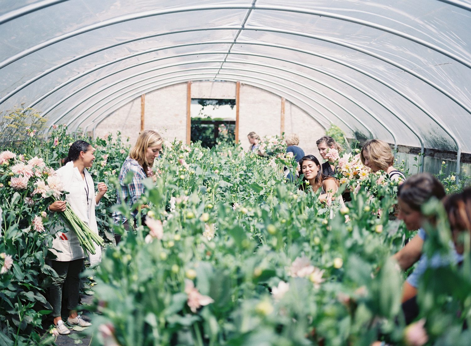 Announcing the 2016 Floret Floret Flowers