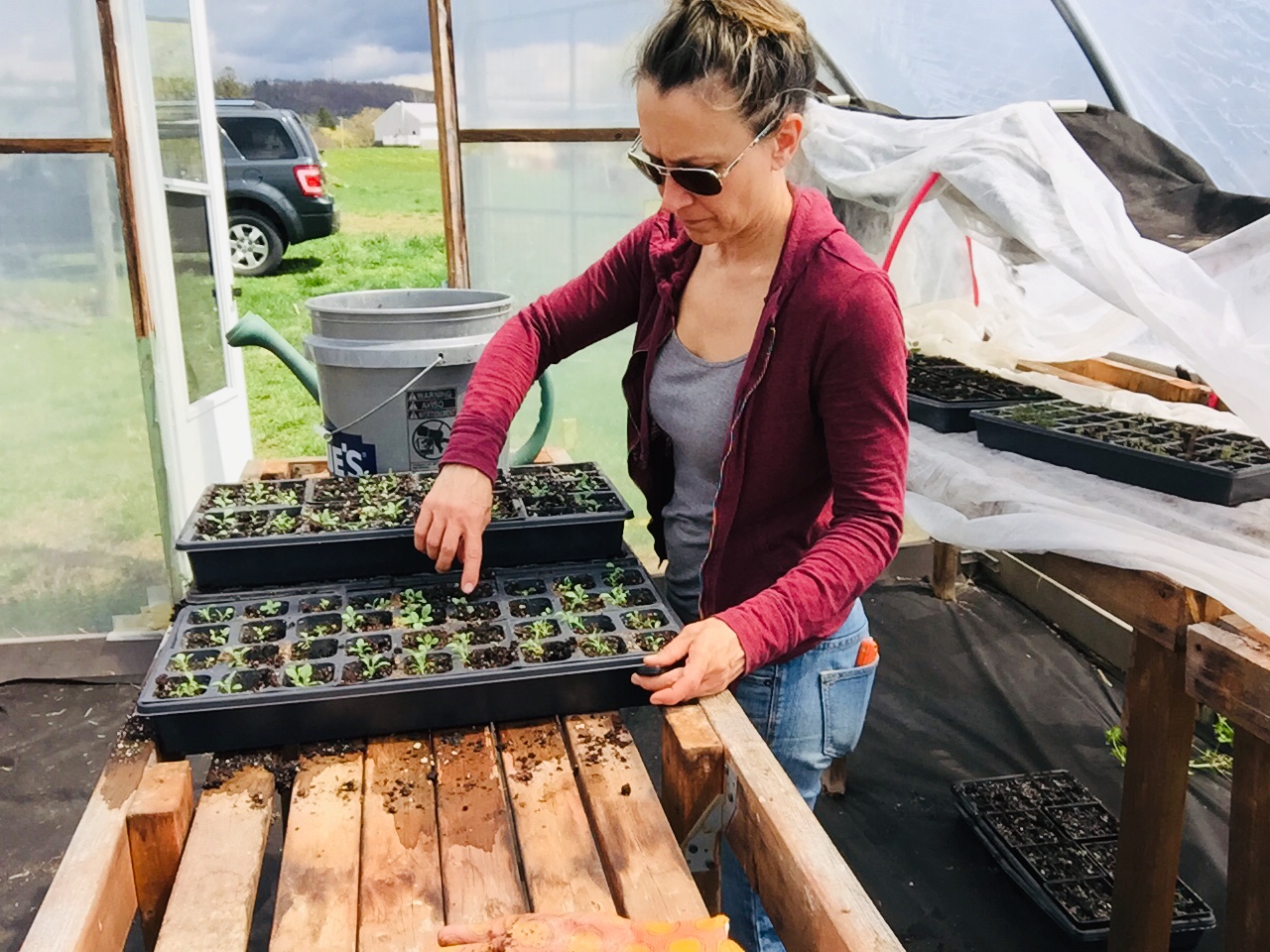 Find Flowers Floret Flowers