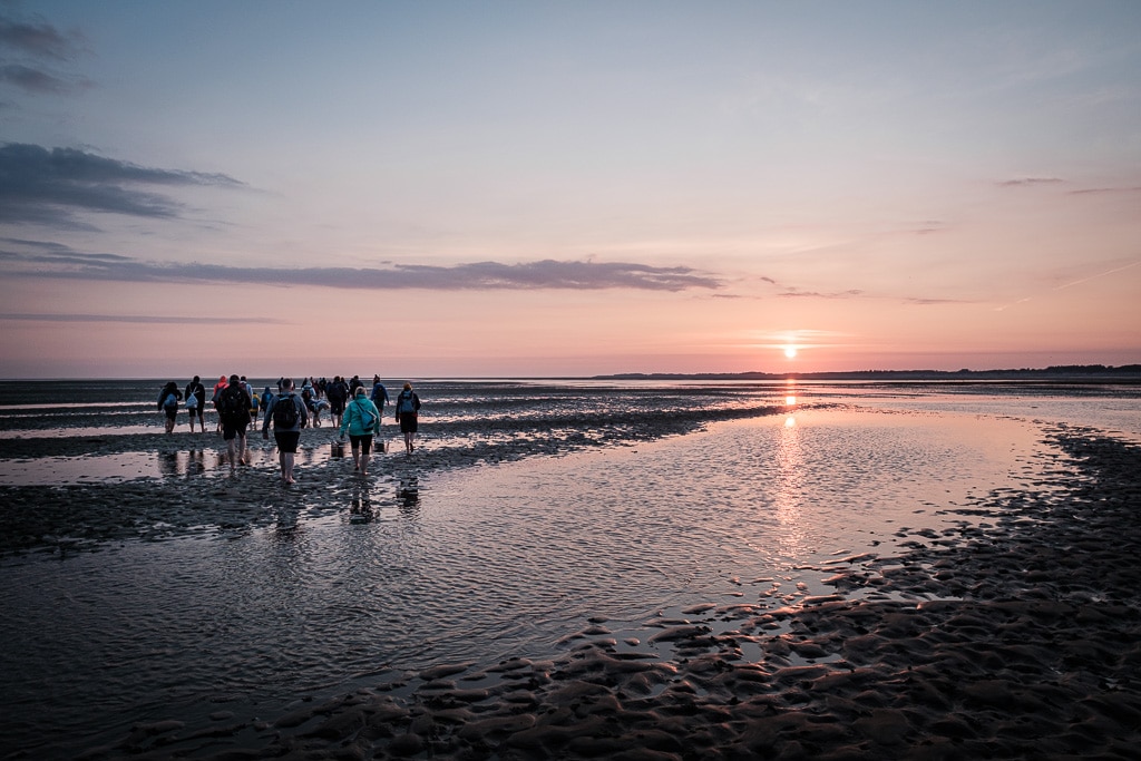 Amrum