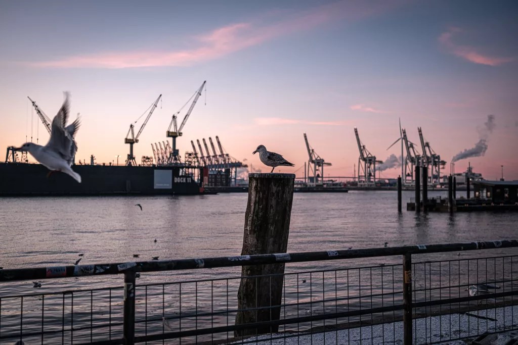 Am Fischmarkt (Fuji X-T5 mit XF 23mm F1.4 LM WR)