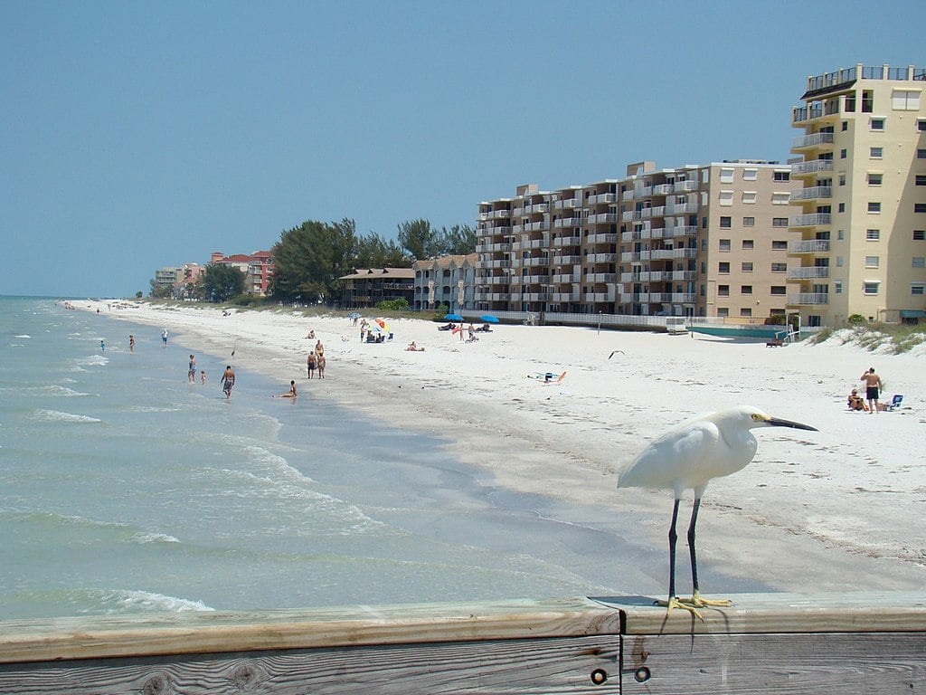 Indian Shores The Florida Guidebook