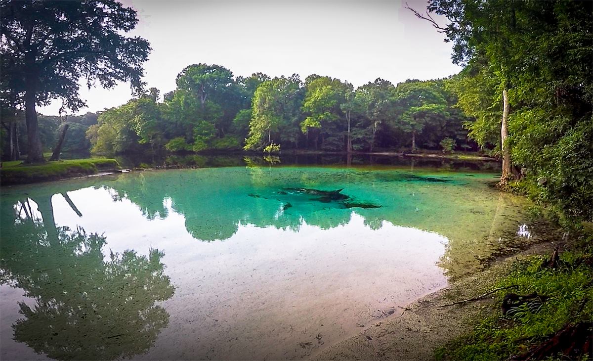 Florida Paddle Notes About FPN