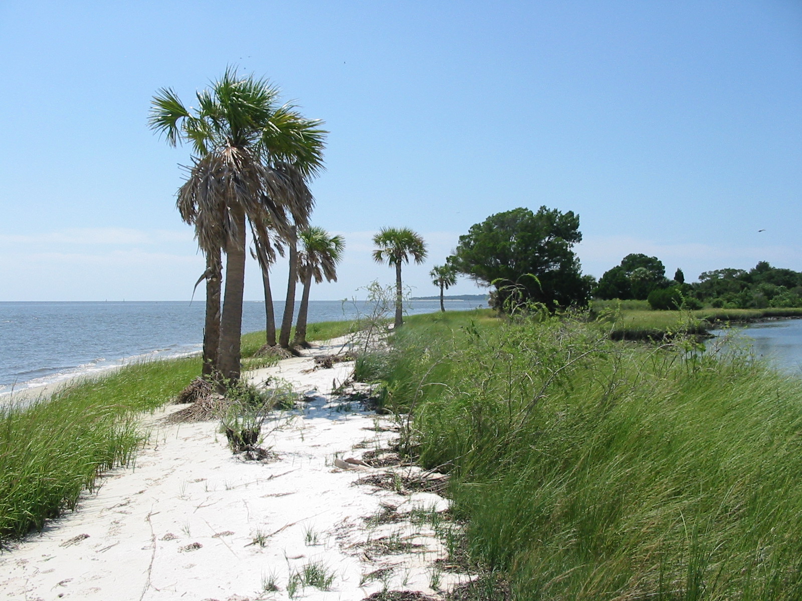 Florida’s Nature Coast Conservancy Preserving Florida’s Nature Coast