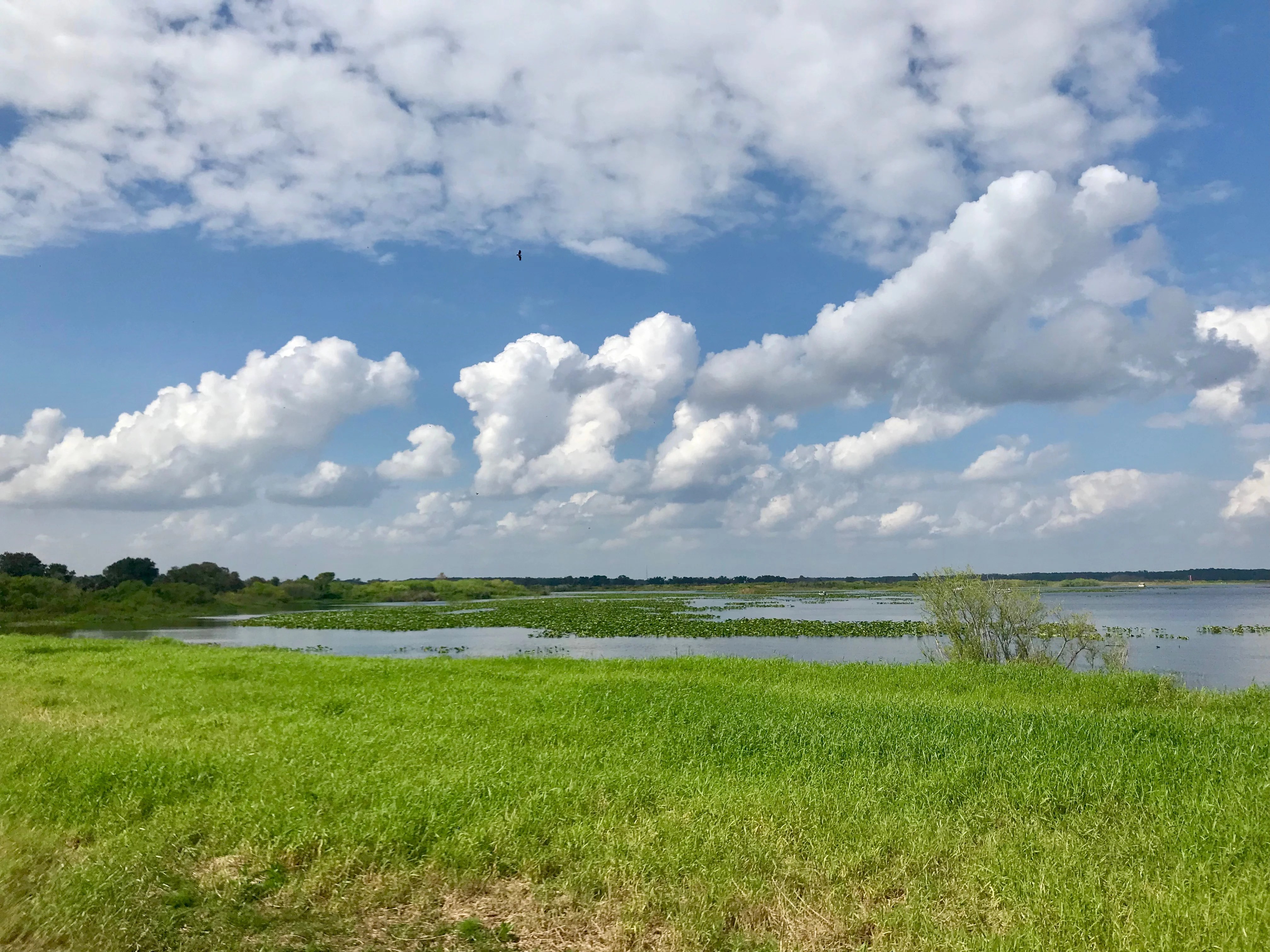 Lake Kissimmee and the Chain of Lakes Florida State Parks