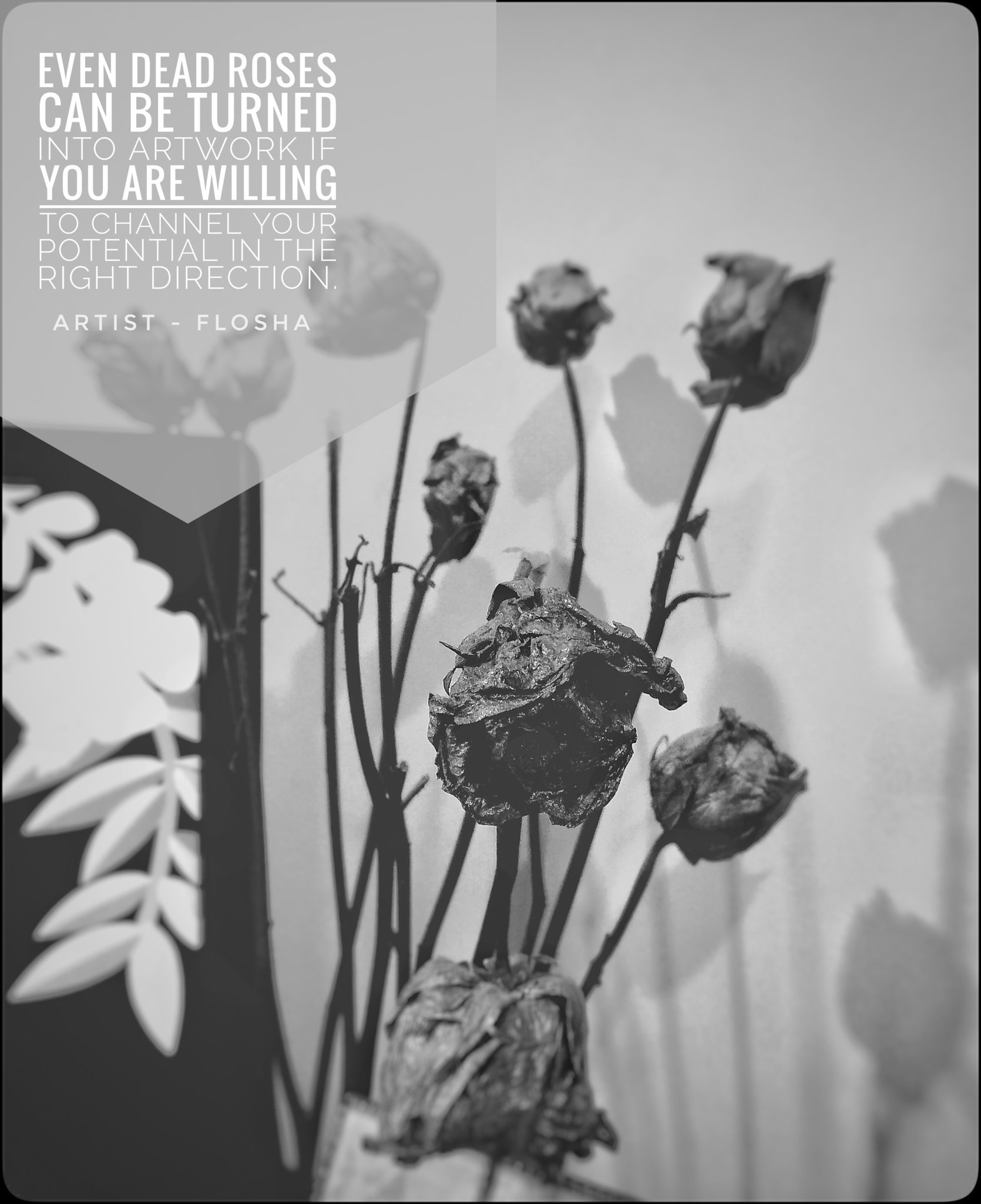 Death to Life! Flosha's Corner