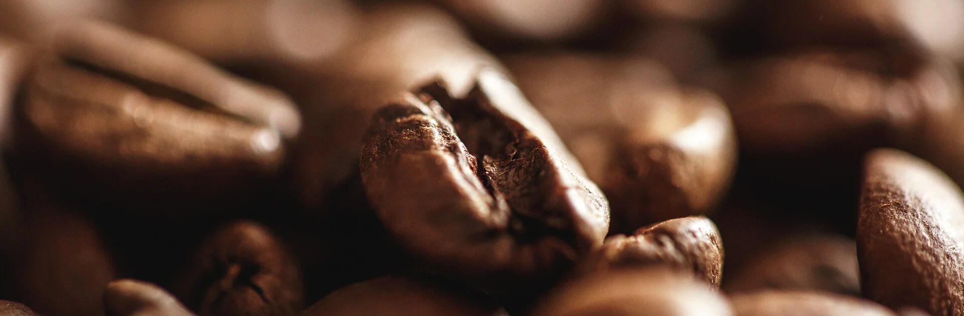 Costeffective technologies for the production of instant coffee