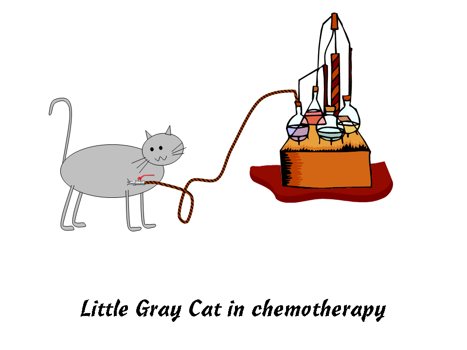 Little Gray Cat in chemotherapy