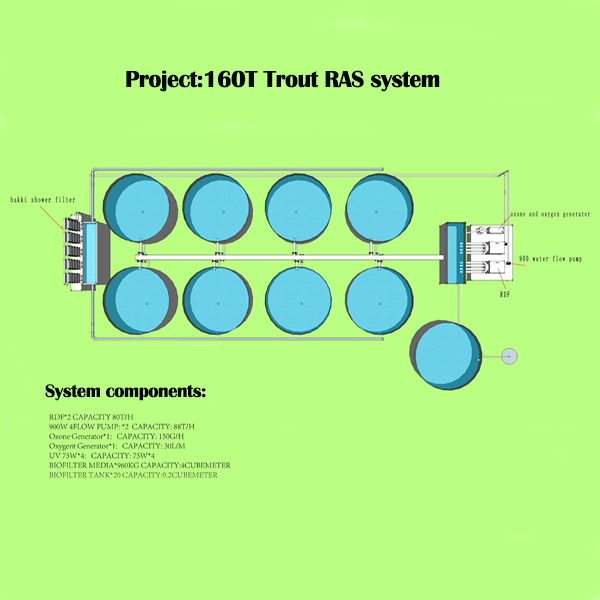 Factory Supply Tilapia Fish Farm For Sale,Indoor Fish Farm Design