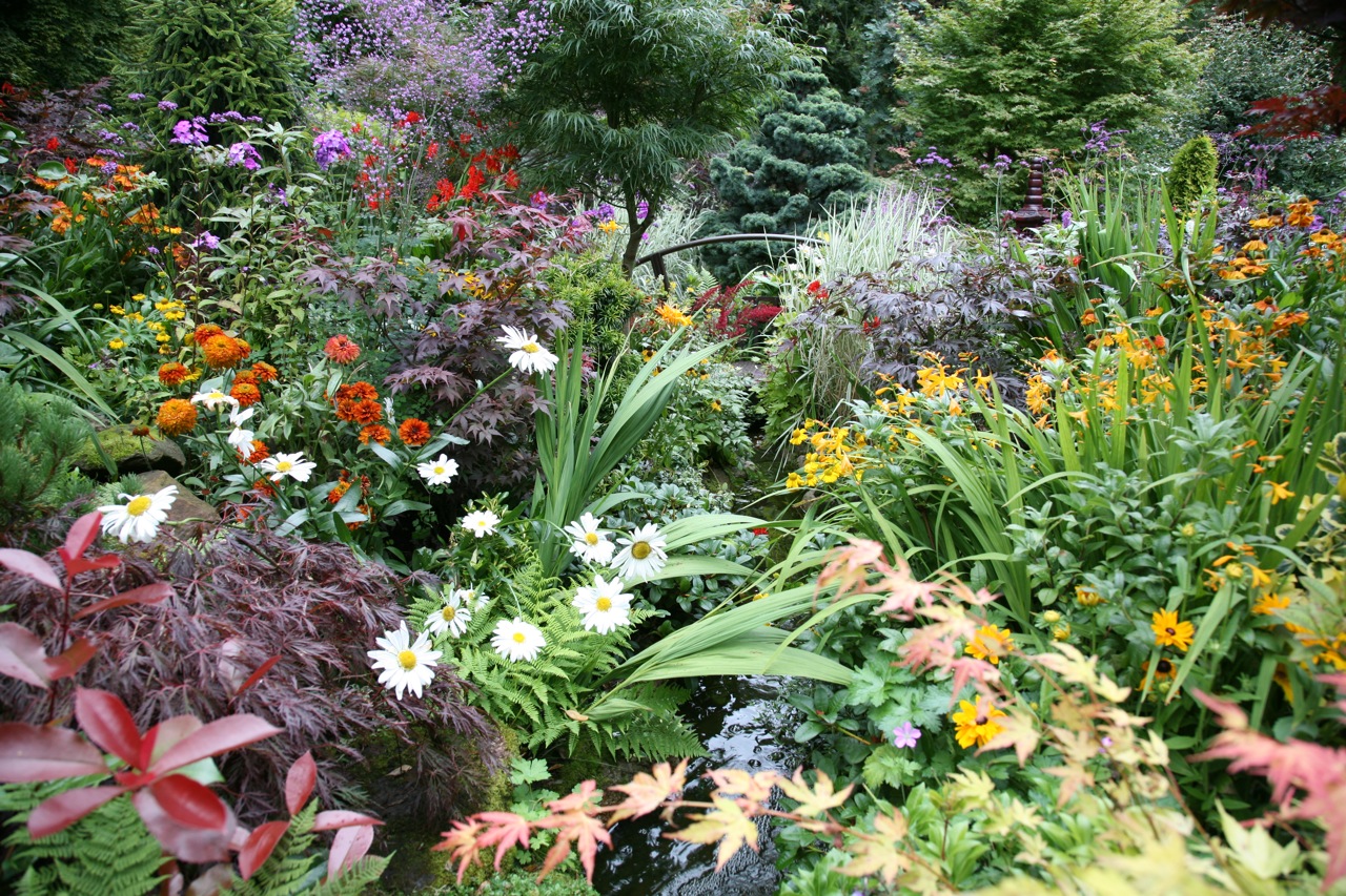 Beautiful Bulbs & Perennials! Flower Bulb Crazy