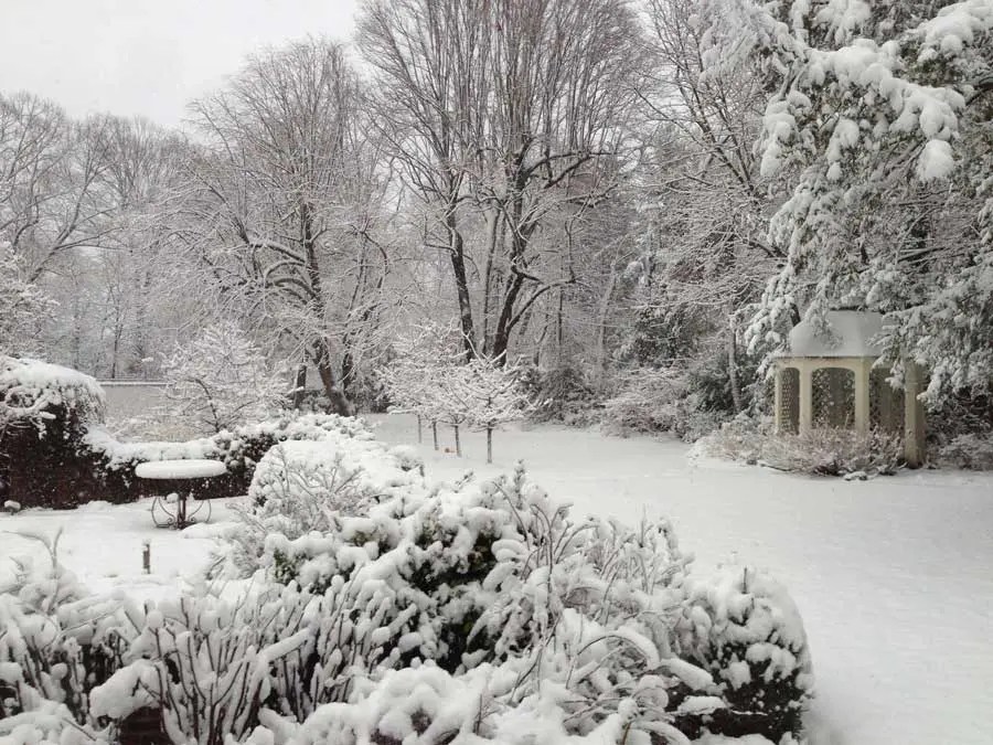 Winter Garden Tips For Zone 5 & 6