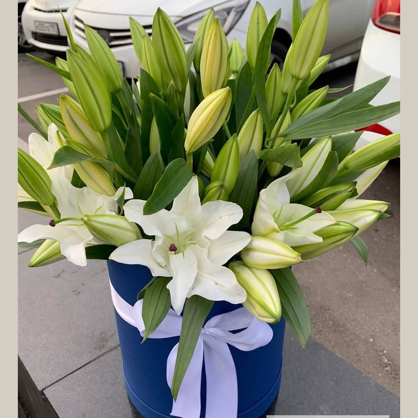 Lily Flowers in Nairobi Send a Bouquet of Lilies Kenya Lily Flowers