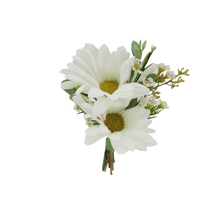 White Daisy Boutonniere (CBBCIT01) Flower Patch
