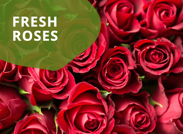 Flower Patch Pinckneyville Il Best Flower Site