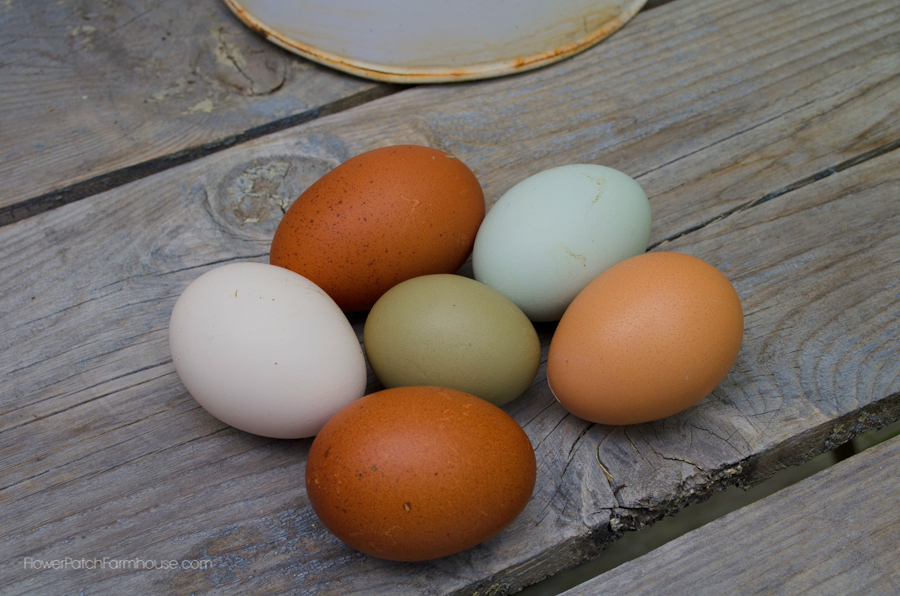 Farm Fresh Eggs Flower Patch Farmhouse