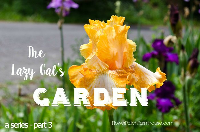 The Lazy Gal&rsquo;s Garden Guide, simple tips and tricks to get a gorgeous garden when you don&rsquo;t have much time. FlowerPatchFarmhouse.com