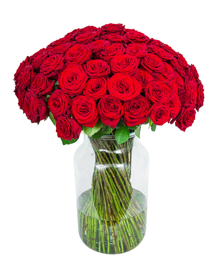 100 Long Stemmed Red Roses Fresh Roses Discount Available