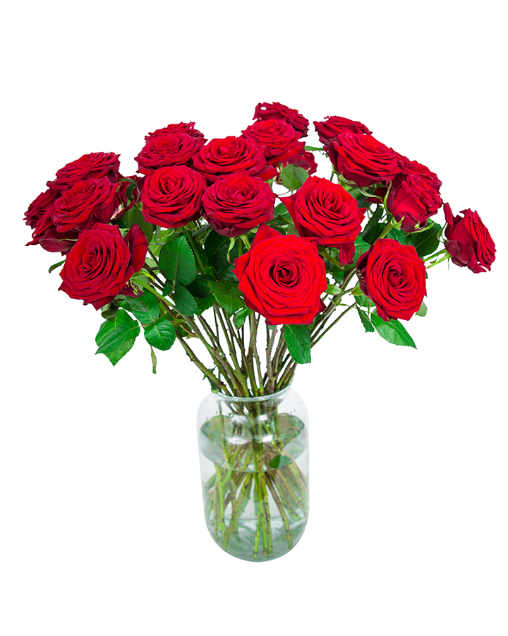 30 Long Stemmed Red Roses Fresh Red Roses, Red Roses Delivery, 30 Red