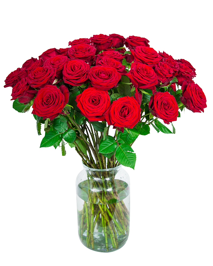 40 Long Stemmed Red Roses Fresh Red Roses, Red Roses Delivery, 40 Red