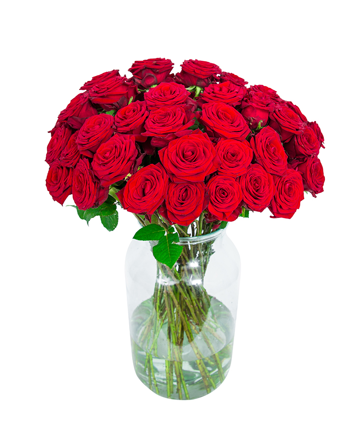 48 Long Stemmed Red Roses Fresh Red Roses, Red Roses Delivery, 48 Red