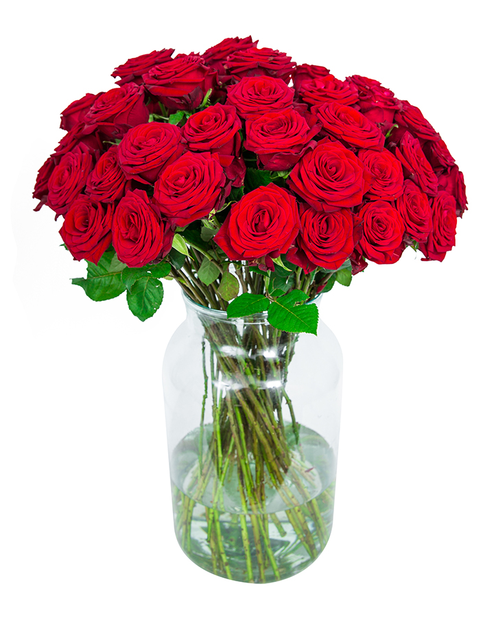 50 Long Stemmed Red Roses Fresh Red Roses, Red Roses Delivery, 50 Red