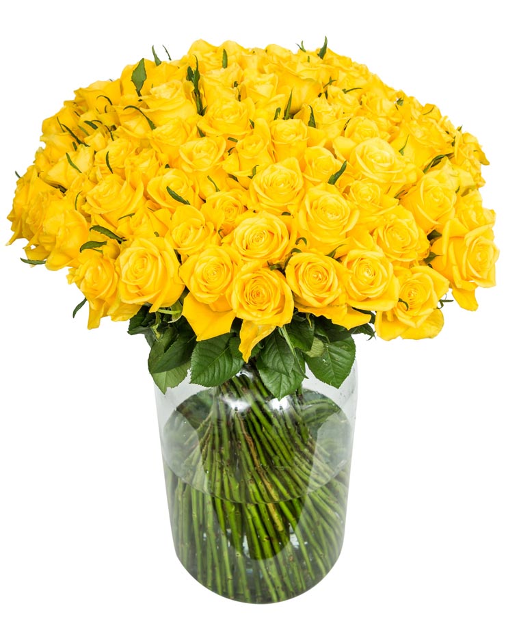 100 Long Stemmed Yellow Roses Fresh Yellow Roses, Yellow Roses Delivery, Yellow Roses Bouquet