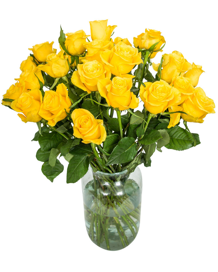 10 Long Stemmed Yellow Roses Fresh Yellow Roses, 10 Yellow Roses