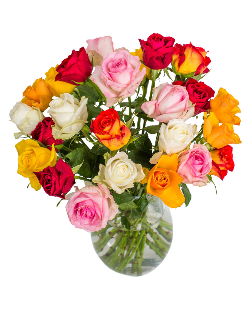 12 Long Stemmed Mixed Roses Fresh Mixed Roses, Rainbow Roses, Mixed