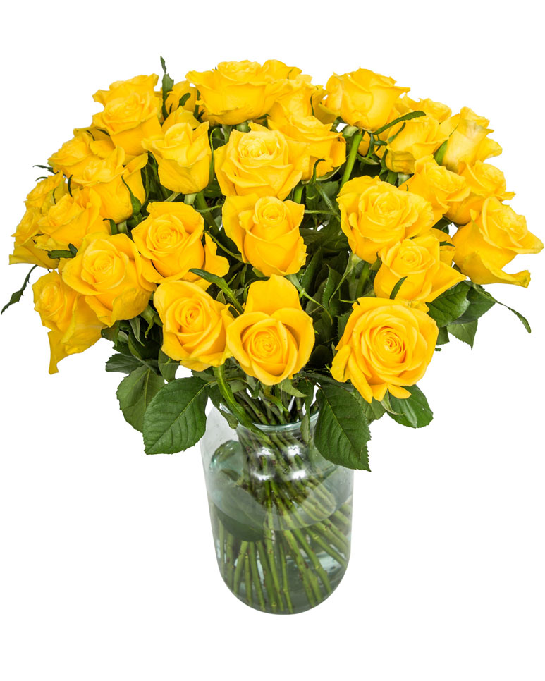 36 Long Stemmed Yellow Roses Fresh Yellow Roses, 36 Yellow Roses