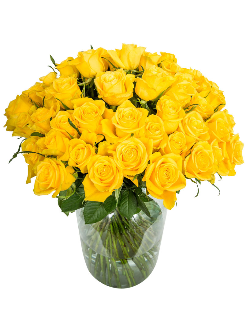 50 Long Stemmed Yellow Roses Fresh Yellow Roses, 50 Yellow Roses